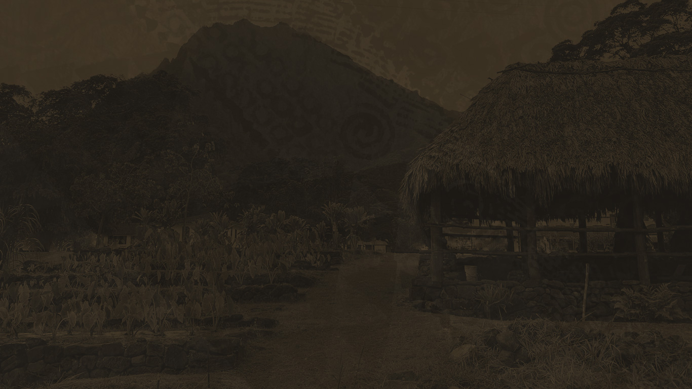 graphic header image of taro field and hut